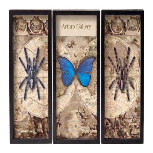 Compositions and sets