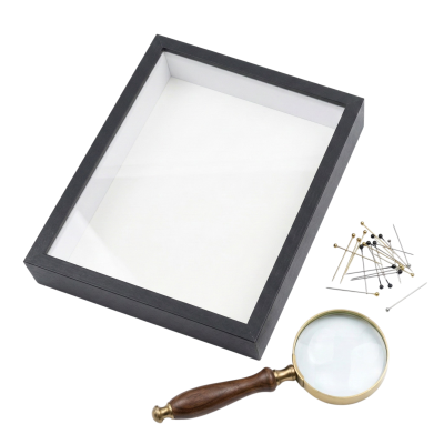 Collectible accessories