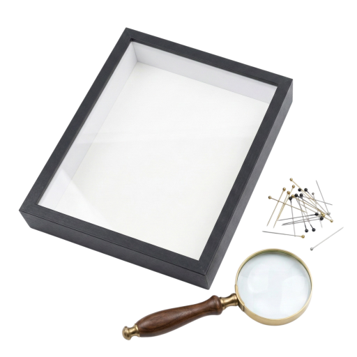 Collection accessories