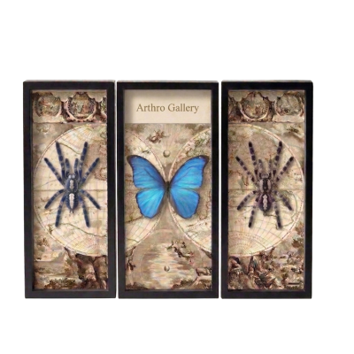 Compositions and sets