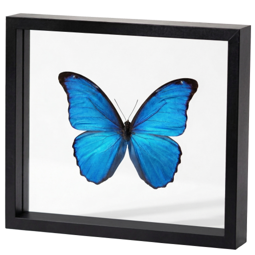 Double-glazed frames